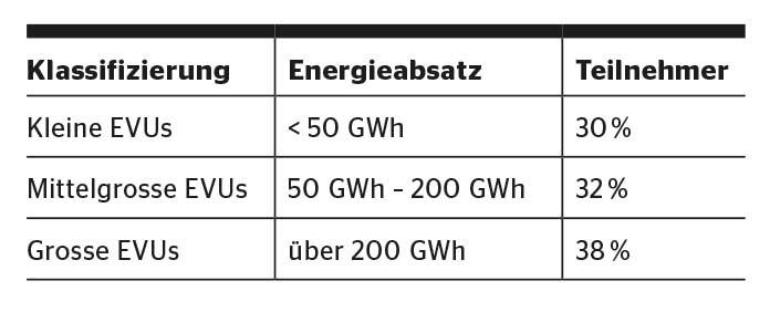 Gruppierung der befragten Energieversorger.