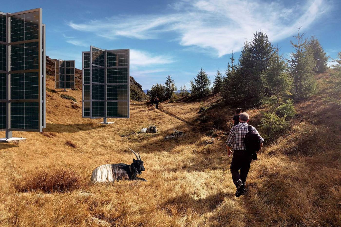 Der neue Ansatz: 1500 Solarbäume mit bifazialen PV-Modulen sollen geringere Auswirkungen auf die Natur haben.