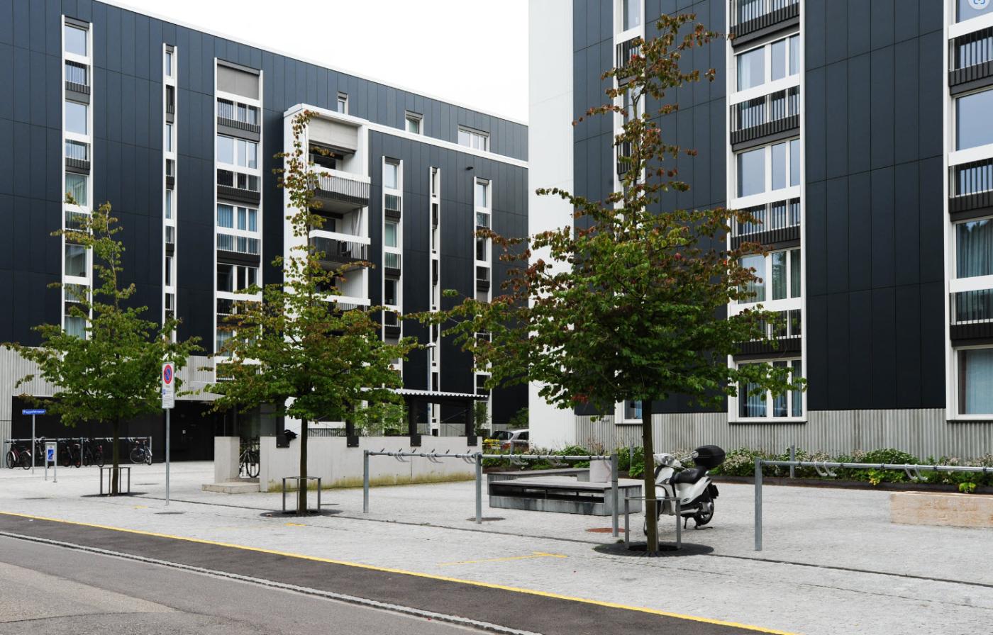 Bild: Swissolar/Céline Kuster