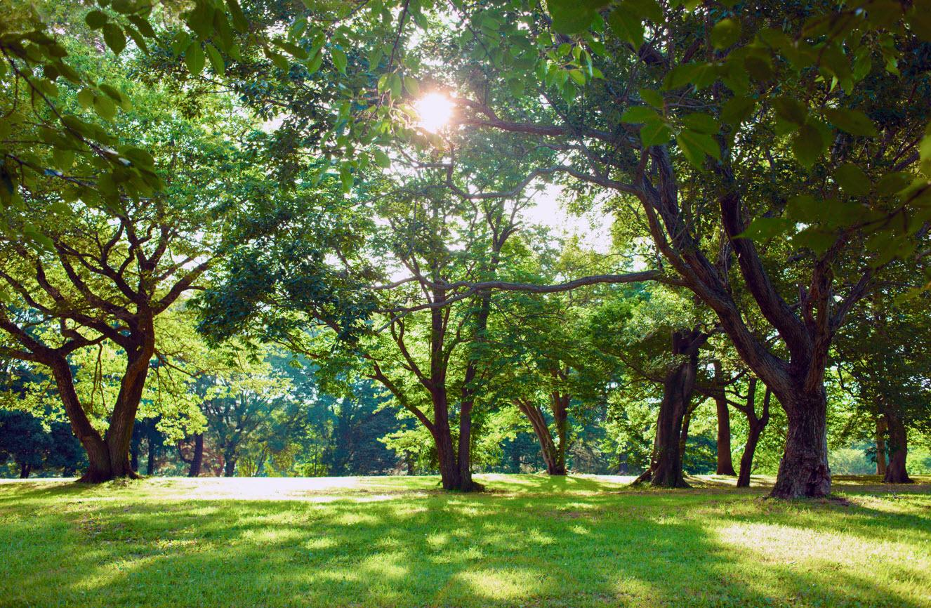 La lumière du jour et une vue agréable sur l'extérieur sont la référence.