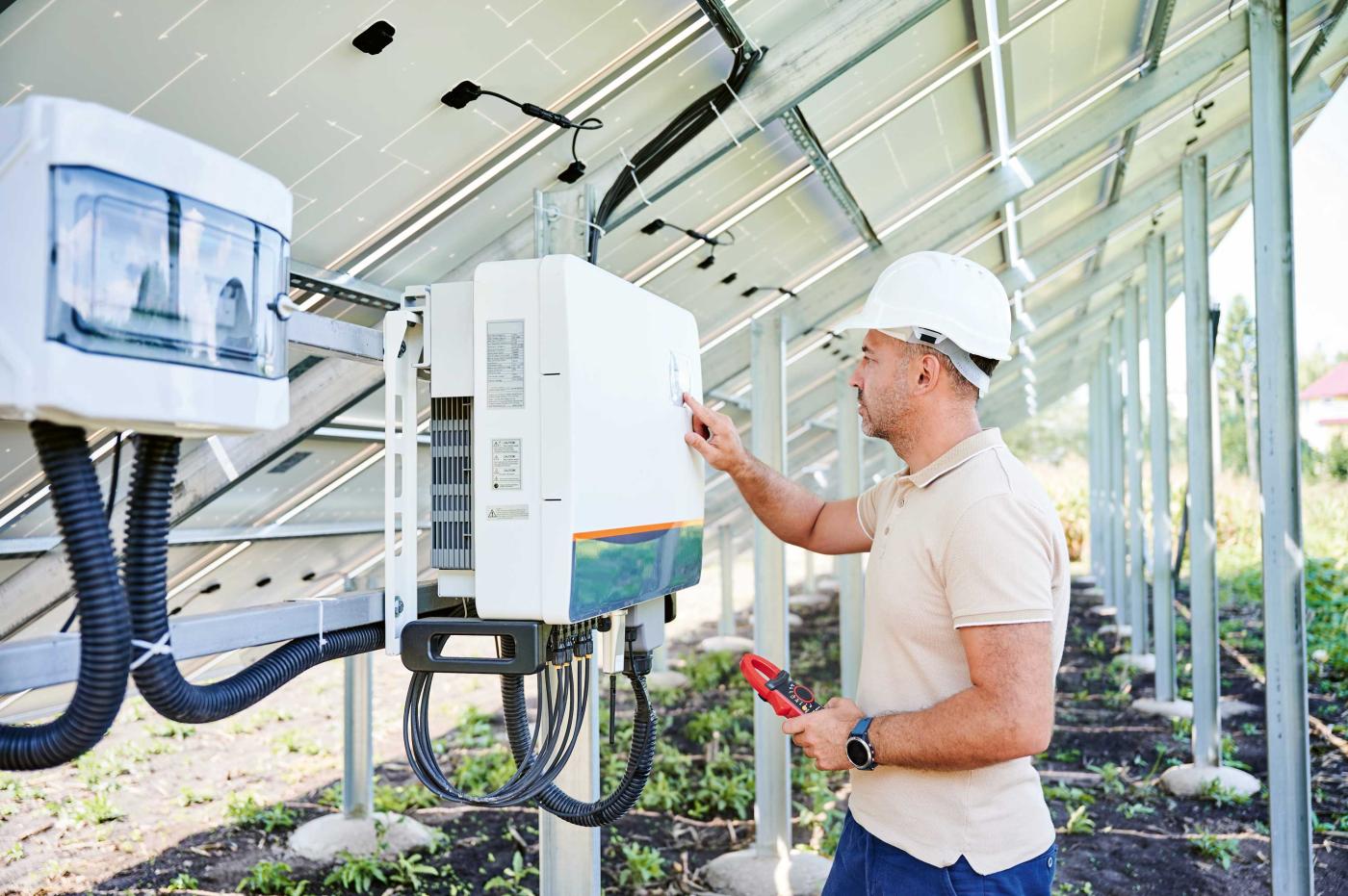 Figure:  Shutterstock