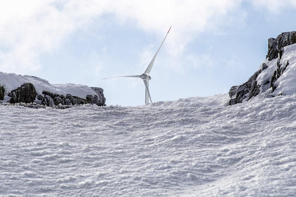 Versorgungssicherheit und Biodiversität