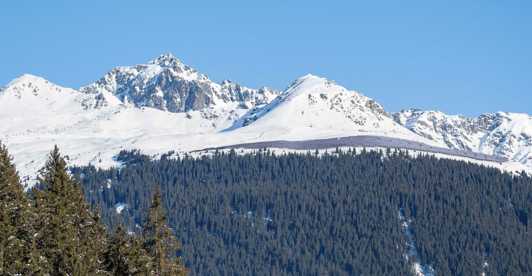 Alpine Solaranlage bei der Bergbahn Madrisa geplant