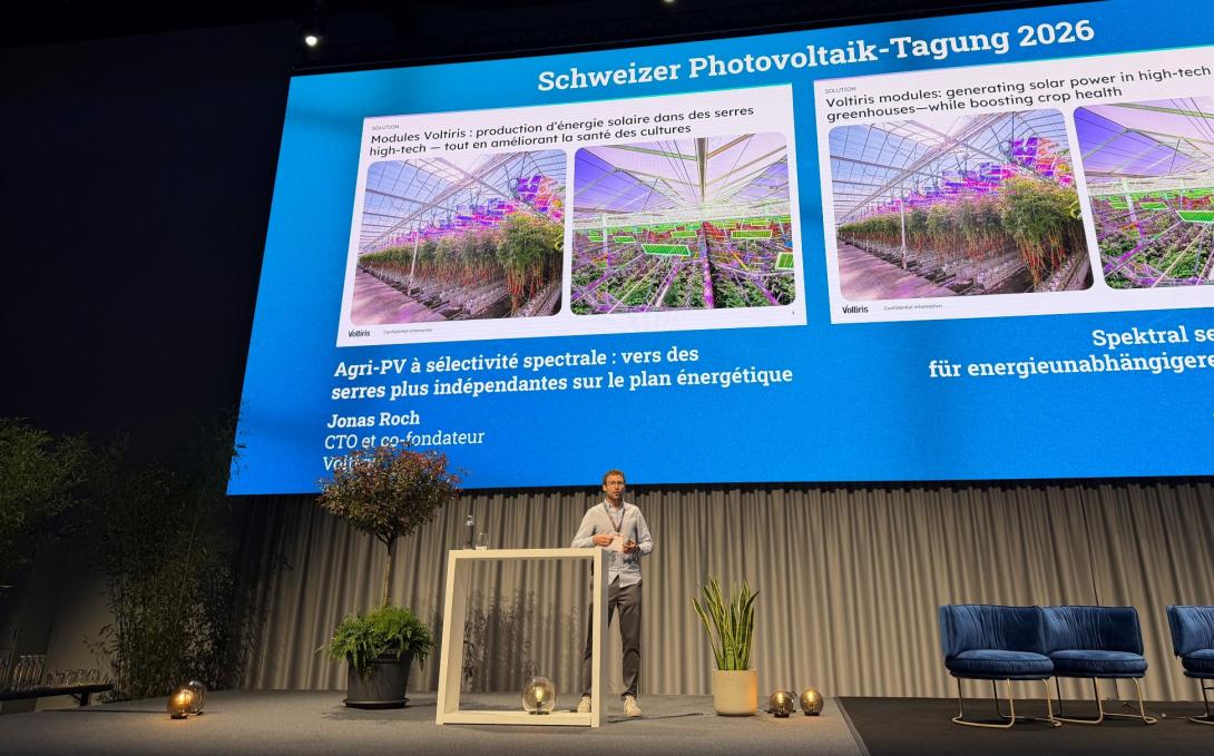 Du développement à&nbsp;l’intégration